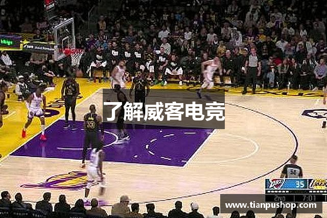 了解威客电竞